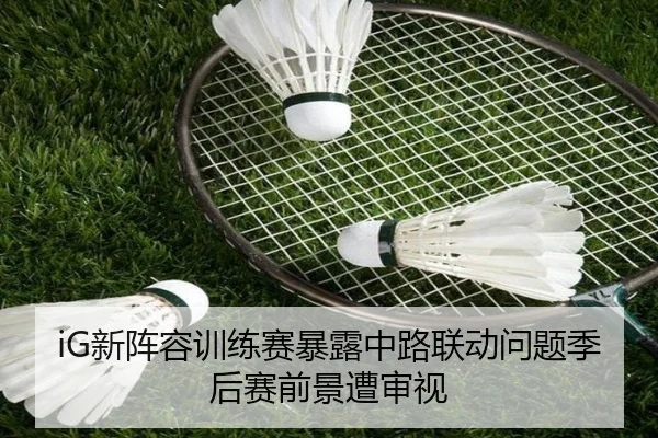 iG新阵容训练赛暴露中路联动问题季后赛前景遭审视